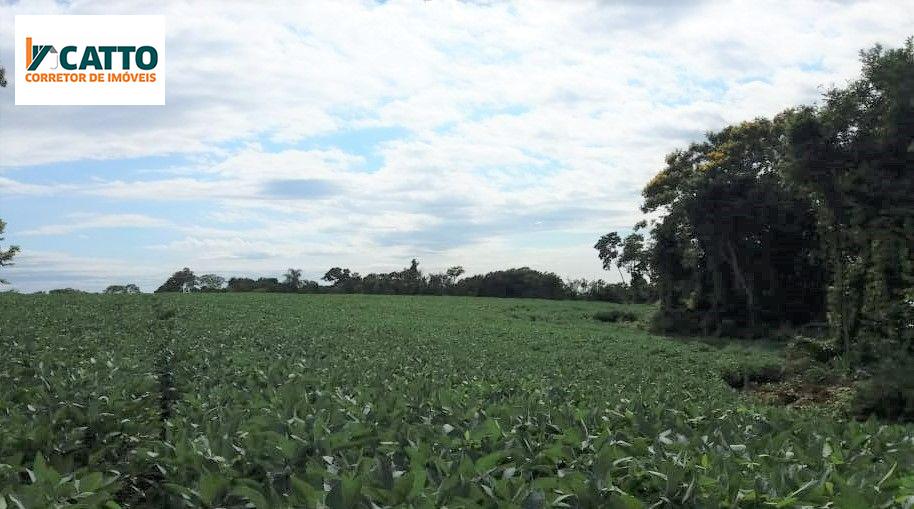 J Catto Imveis em Santa Izabel do Oeste PR