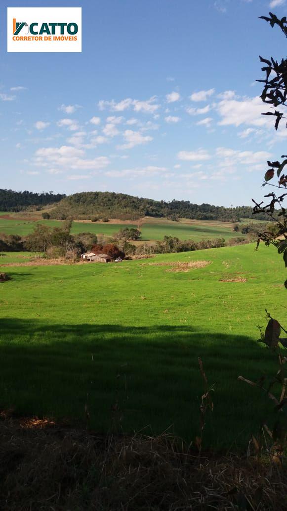 J Catto Imveis em Santa Izabel do Oeste PR