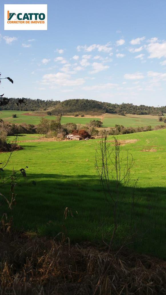 J Catto Imveis em Santa Izabel do Oeste PR