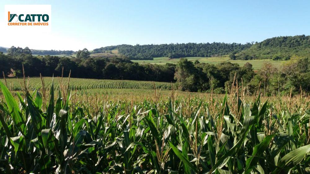 J Catto Imveis em Santa Izabel do Oeste PR