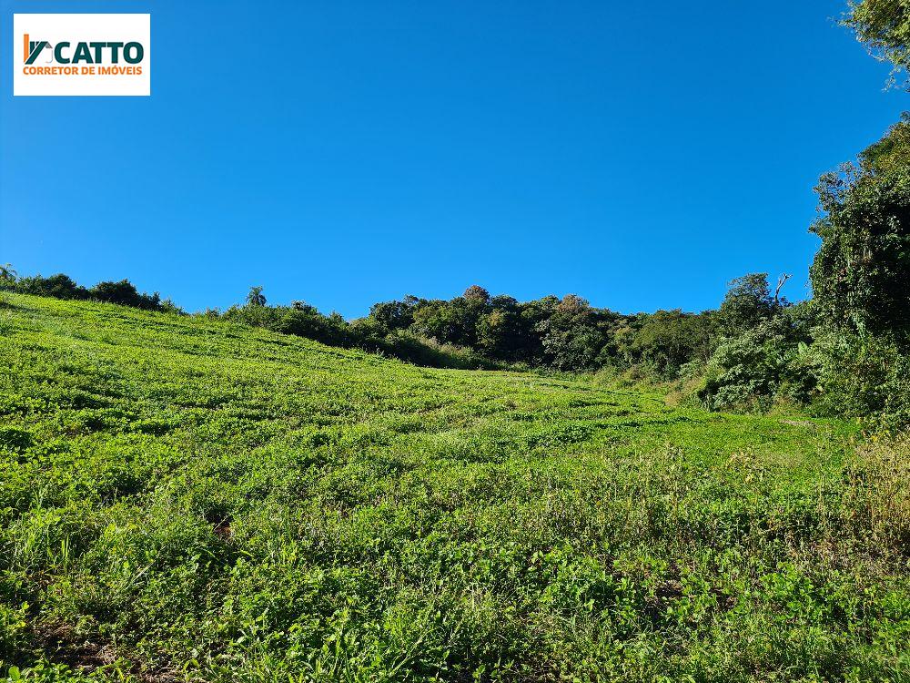 SITIO  NA LINHA  ANUNCIAO, A 12 KM DE STA IZABEL  DO OESTE -PR
