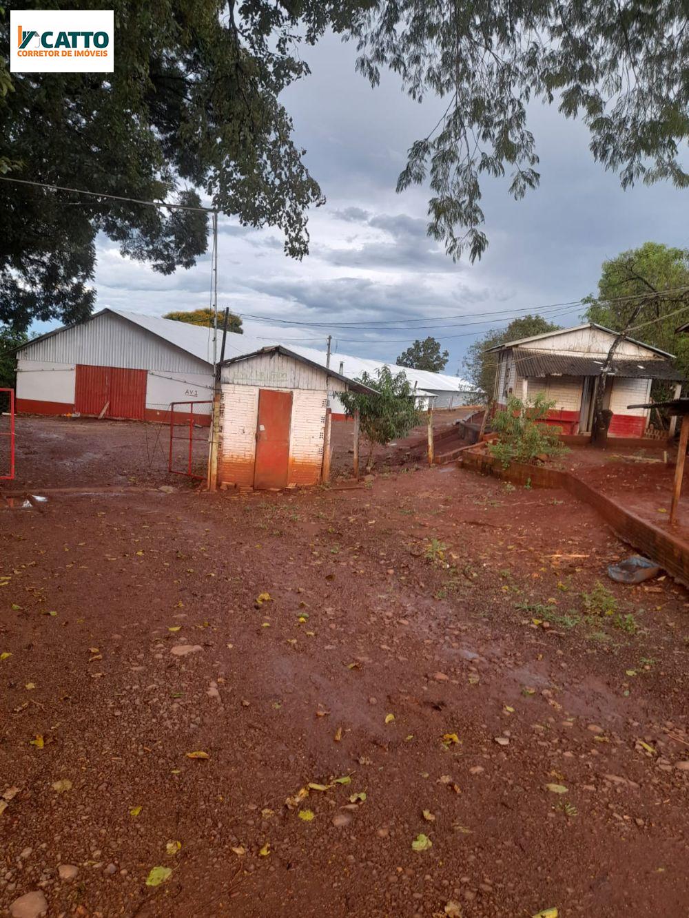 SITIO COM 03 ALQUEIRES 01 MECANIZADO E  02 AVIRIOS DE DE CORTE INTEGR. COASUL  