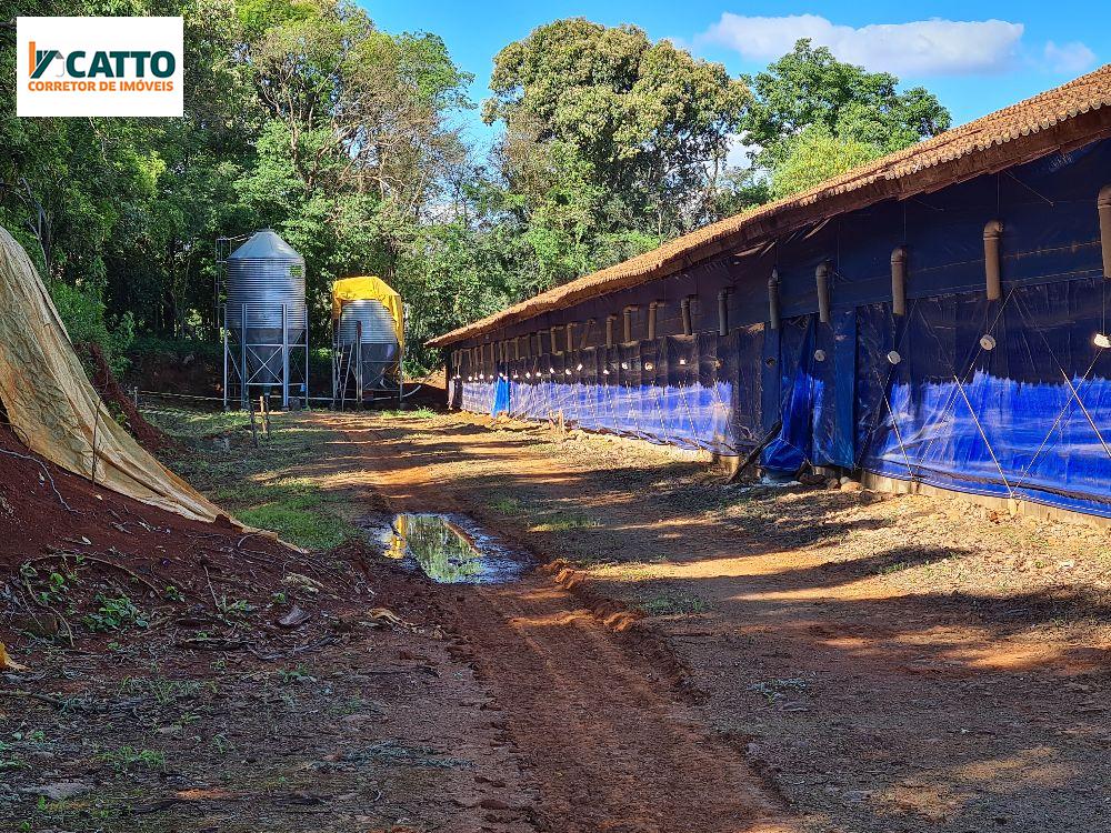 J Catto Imveis em Santa Izabel do Oeste PR