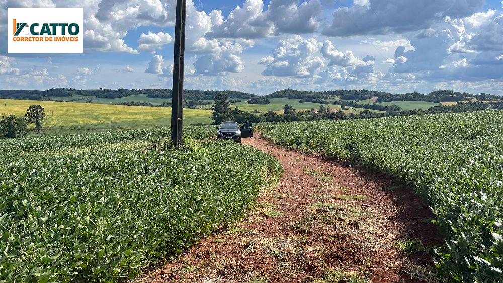 J Catto Imveis em Santa Izabel do Oeste PR