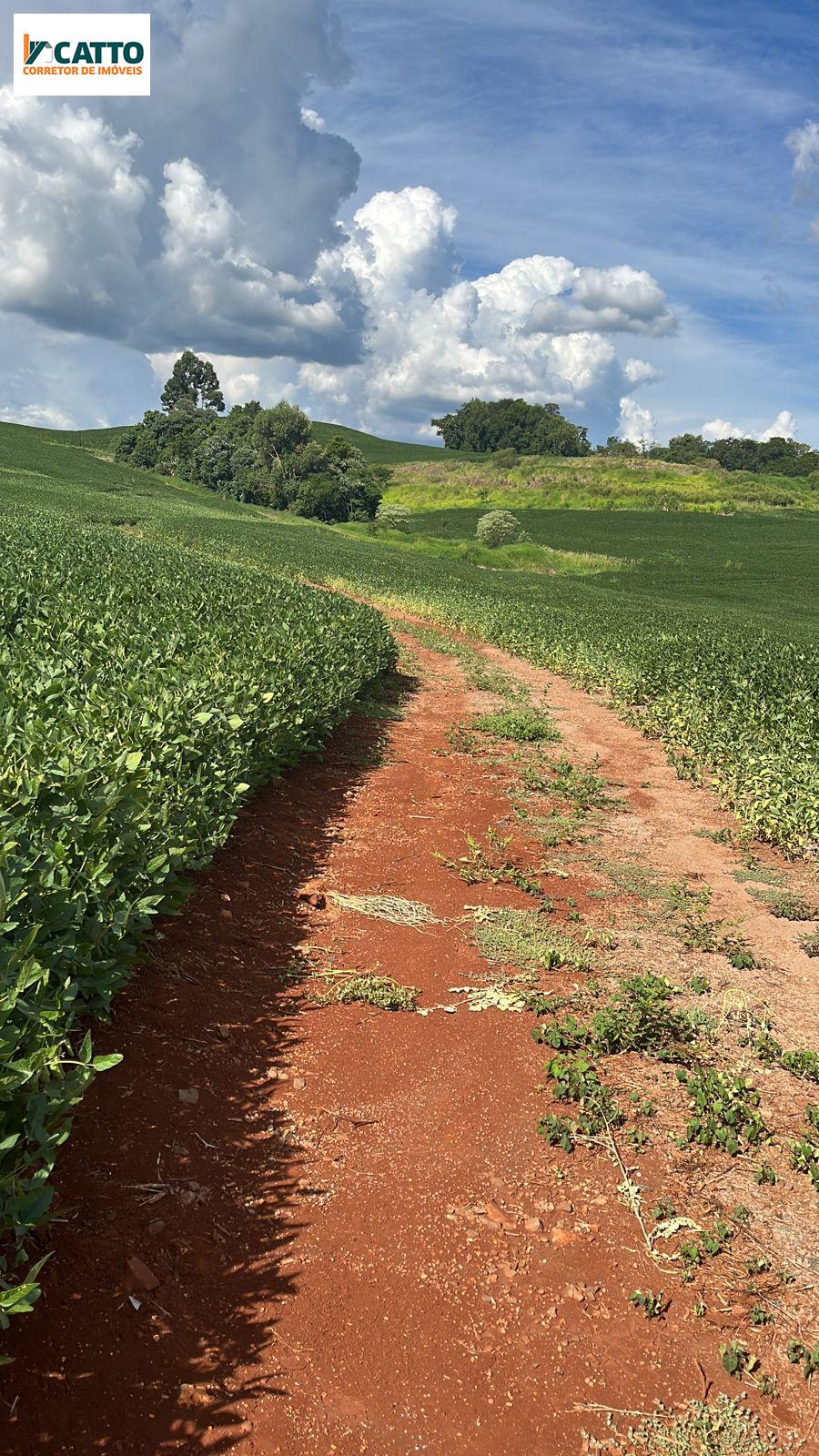 J Catto Imveis em Santa Izabel do Oeste PR