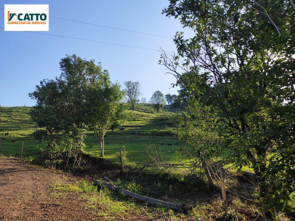 J Catto Imveis em Santa Izabel do Oeste PR