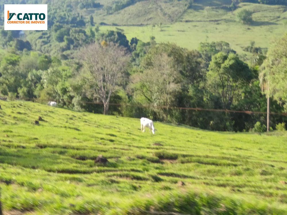 J Catto Imveis em Santa Izabel do Oeste PR
