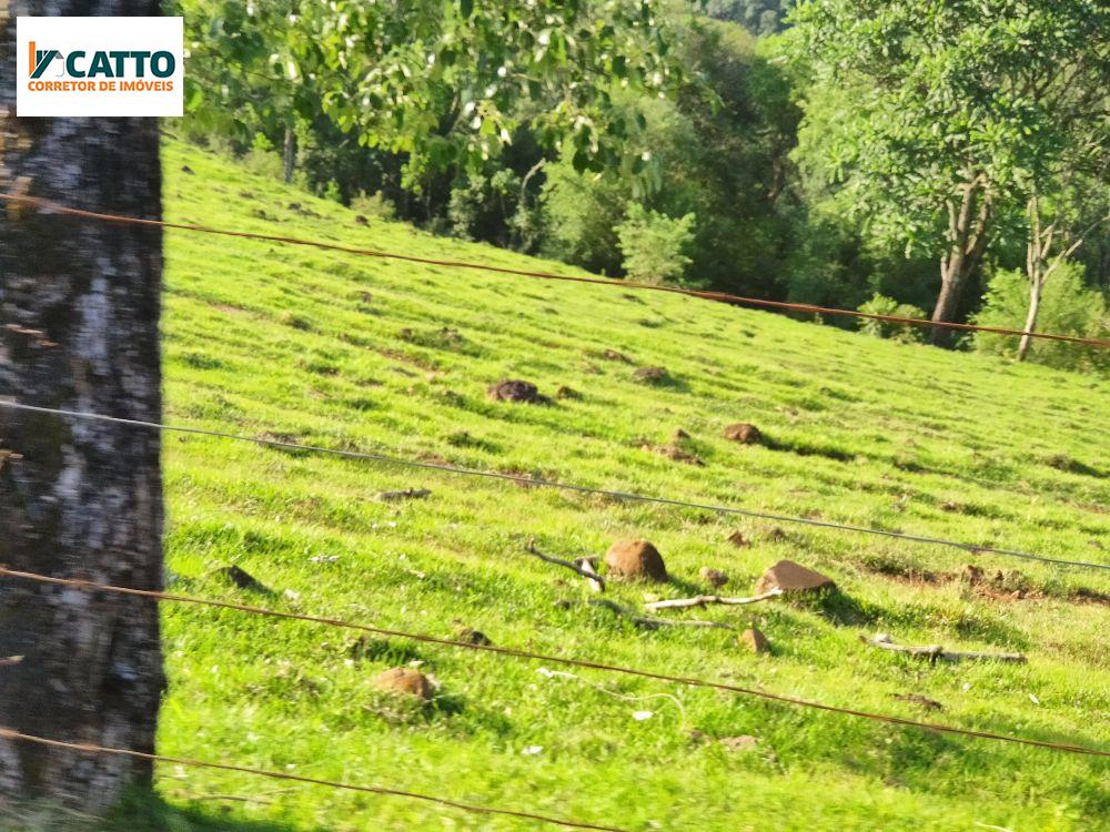 J Catto Imveis em Santa Izabel do Oeste PR