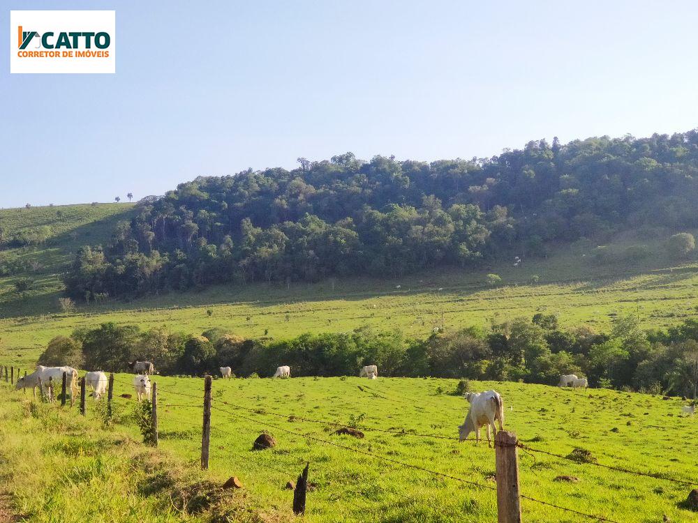 J Catto Imveis em Santa Izabel do Oeste PR