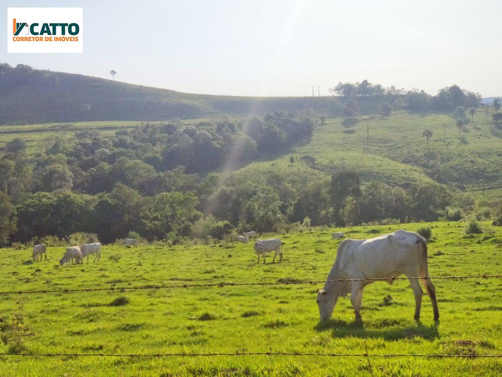 J Catto Imveis em Santa Izabel do Oeste PR