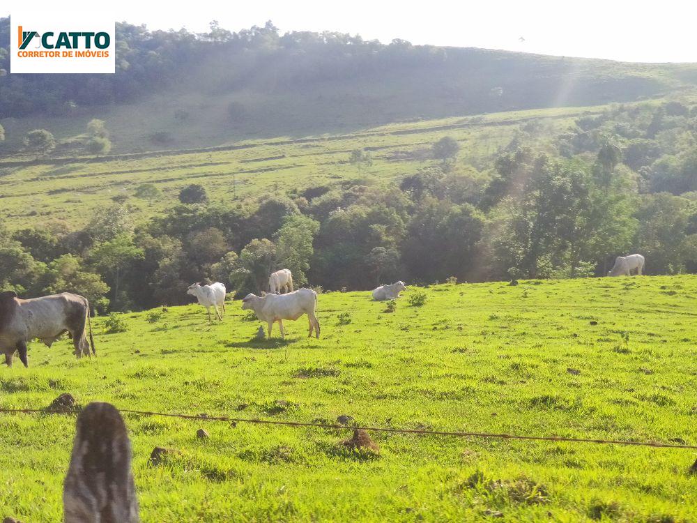 J Catto Imveis em Santa Izabel do Oeste PR