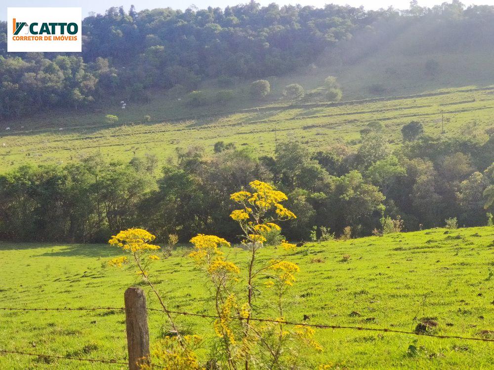 J Catto Imveis em Santa Izabel do Oeste PR