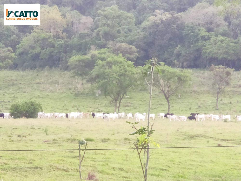 J Catto Imveis em Santa Izabel do Oeste PR