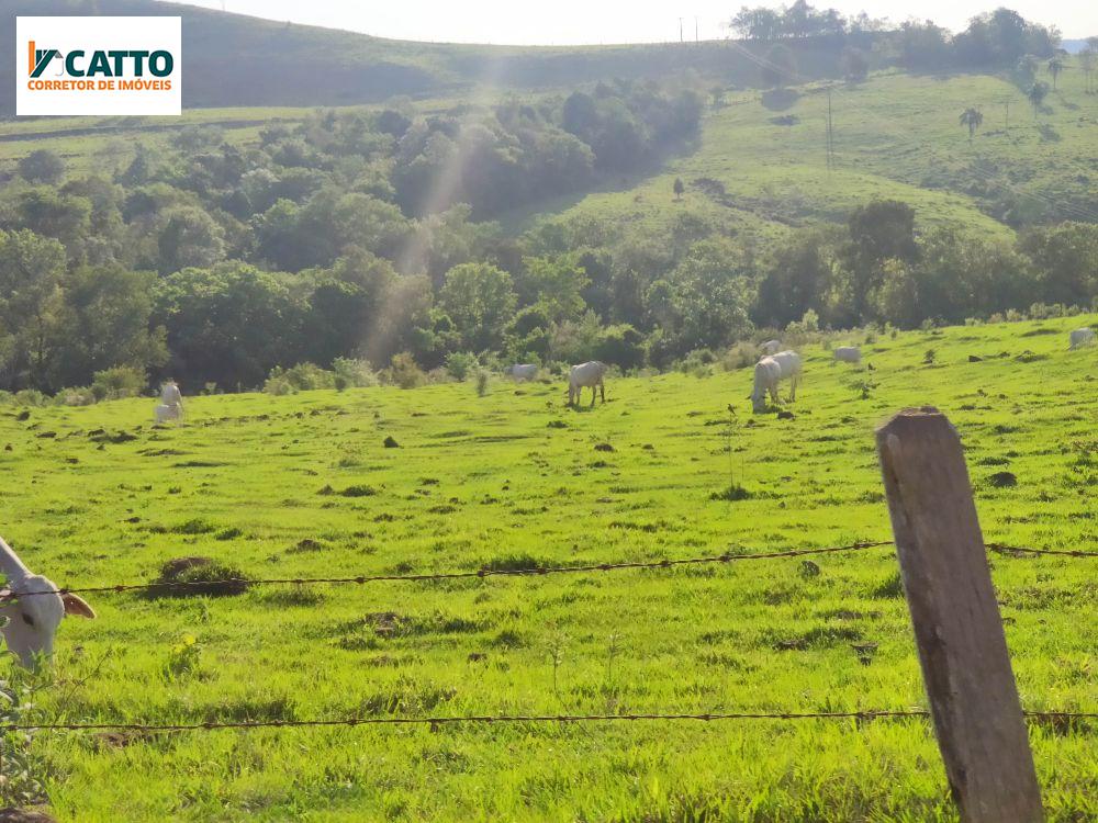 J Catto Imveis em Santa Izabel do Oeste PR
