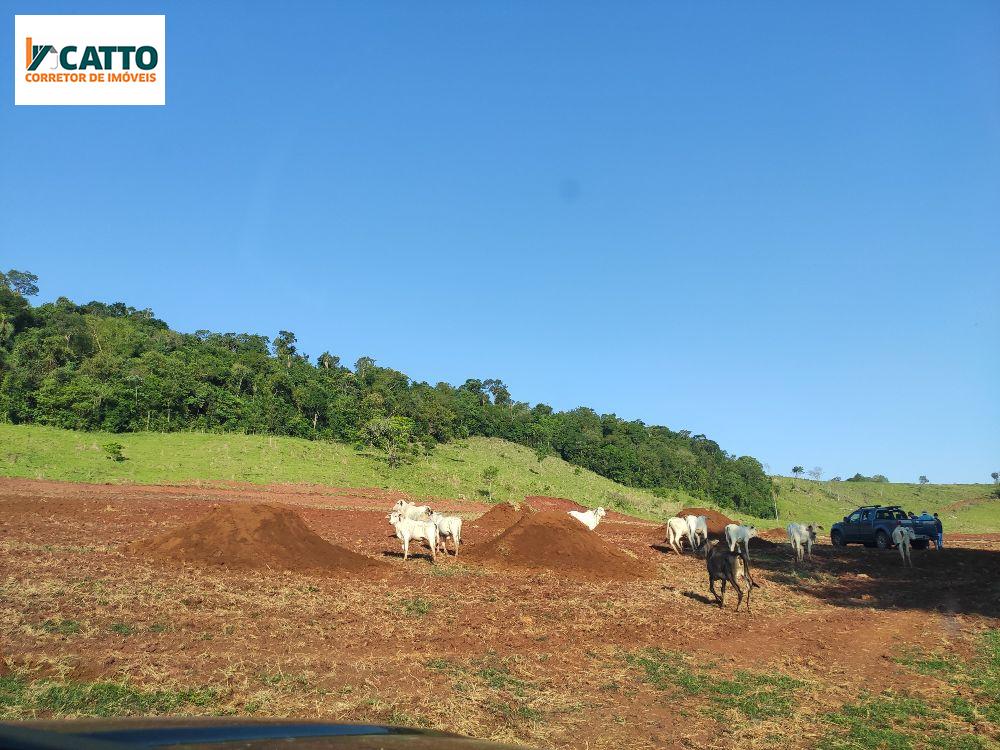 J Catto Imveis em Santa Izabel do Oeste PR