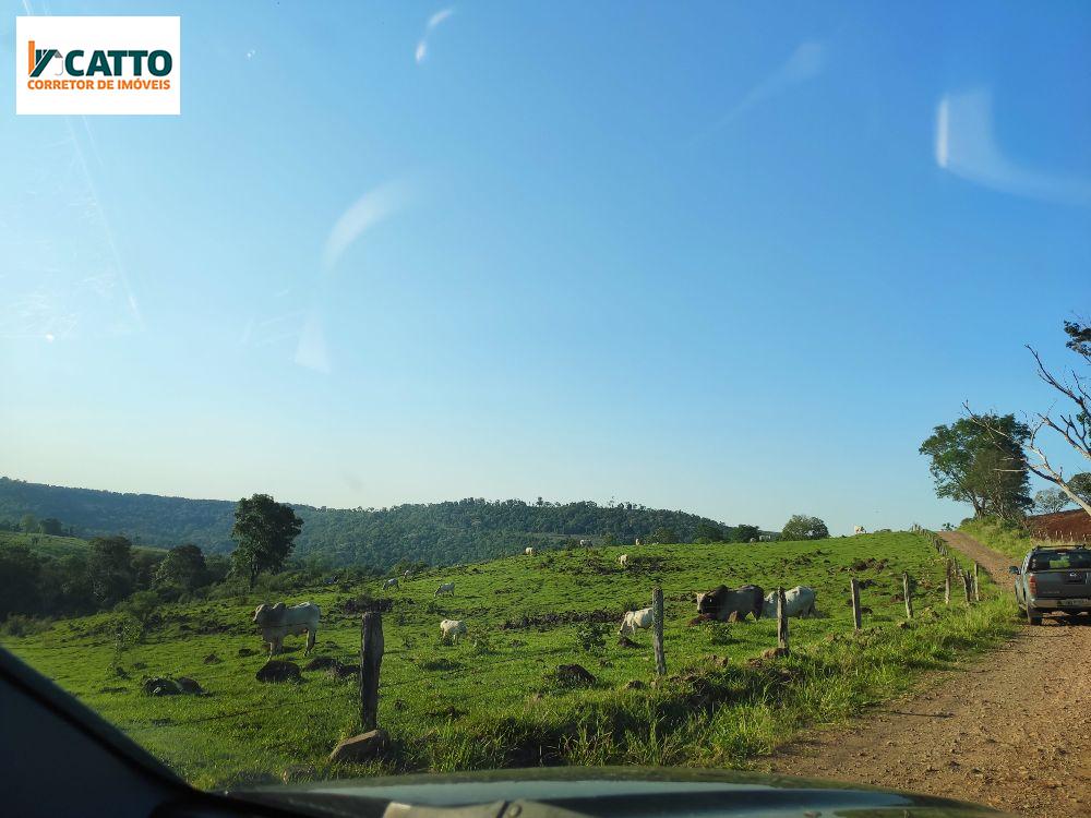 J Catto Imveis em Santa Izabel do Oeste PR