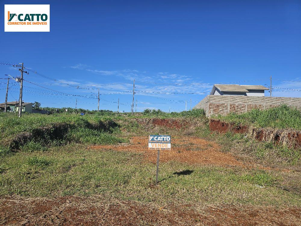 LOTE NO LOTEAMENTO COOHABEL EM FRENTE A BR 182 NA SAIDA PARA REALEZA-PR