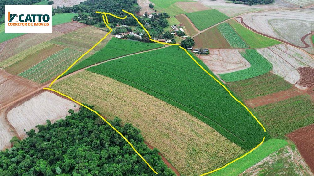 SITIO 5.3 ALQUEIRES 05 MECANIZADO E ESTRUTURADO PARA 40 VACAS DE LEITE CONFINADO