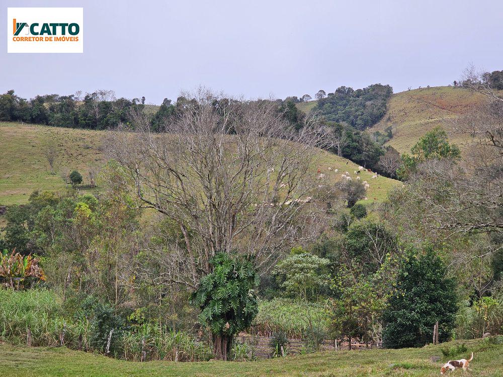 J Catto Imveis em Santa Izabel do Oeste PR