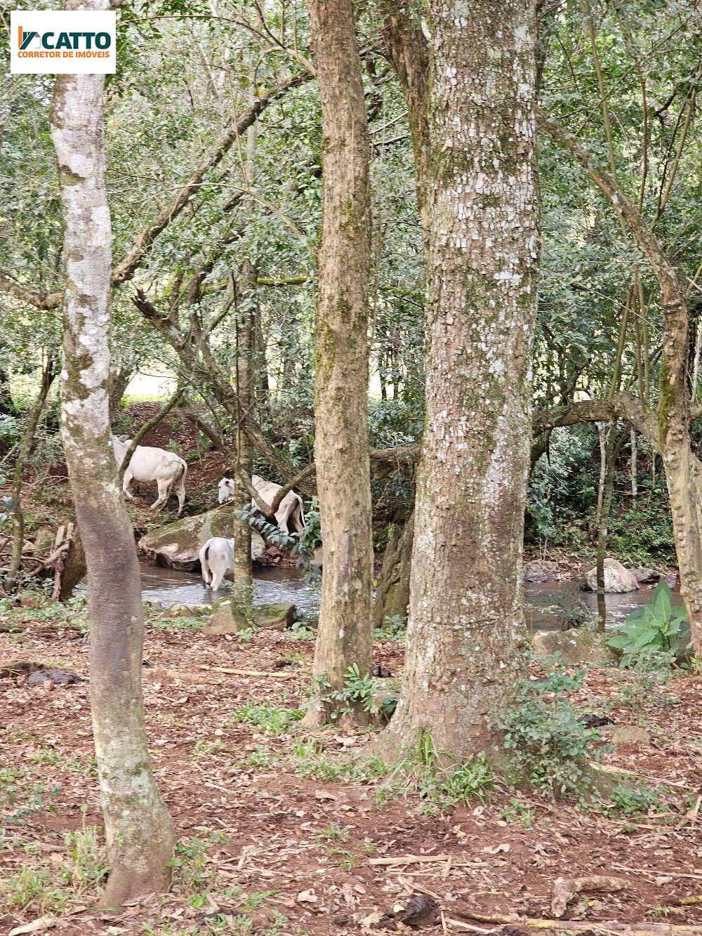 J Catto Imveis em Santa Izabel do Oeste PR