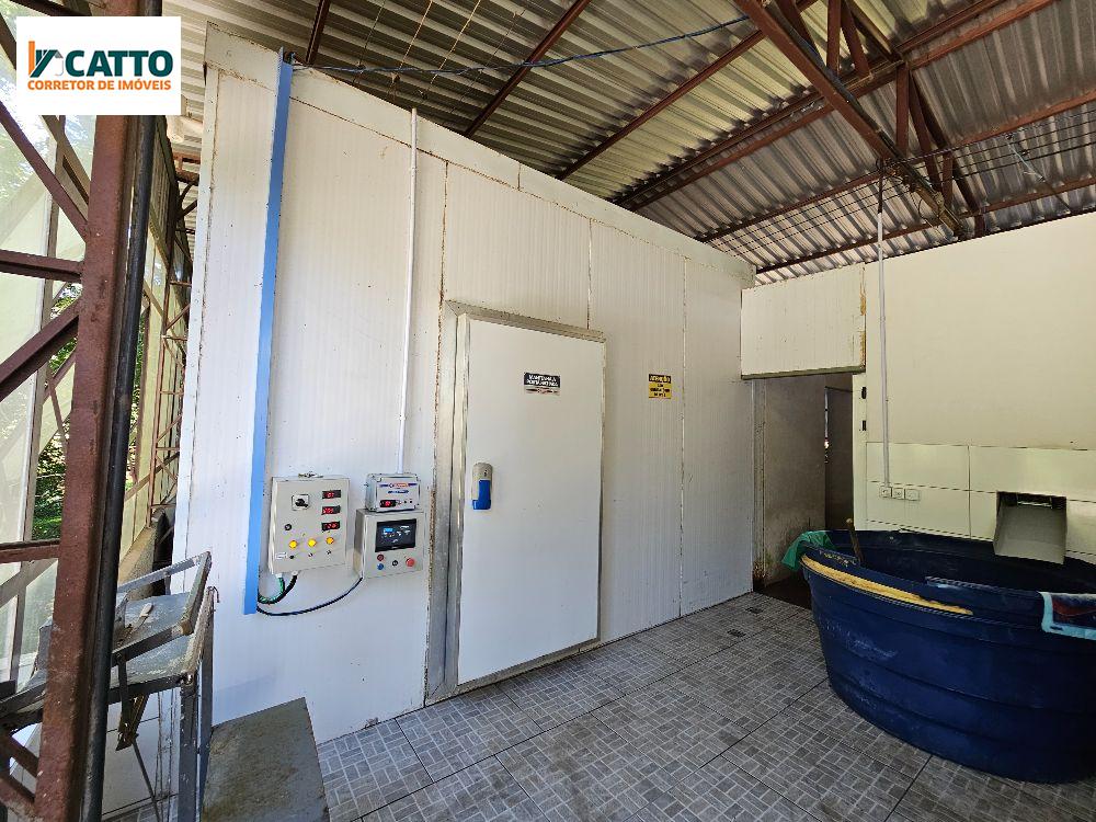 J Catto Imveis em Santa Izabel do Oeste PR