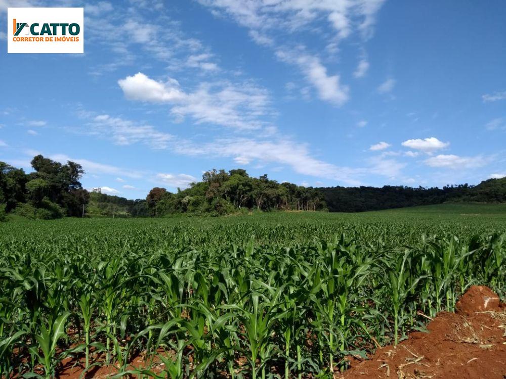 J Catto Imveis em Santa Izabel do Oeste PR