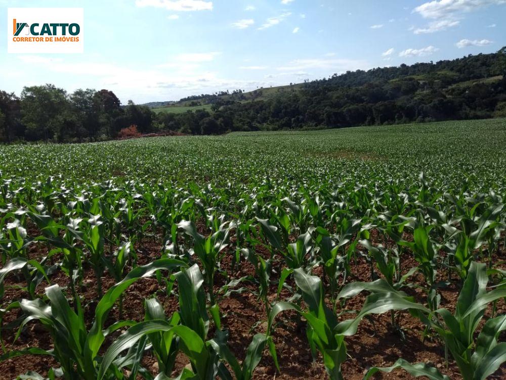 J Catto Imveis em Santa Izabel do Oeste PR