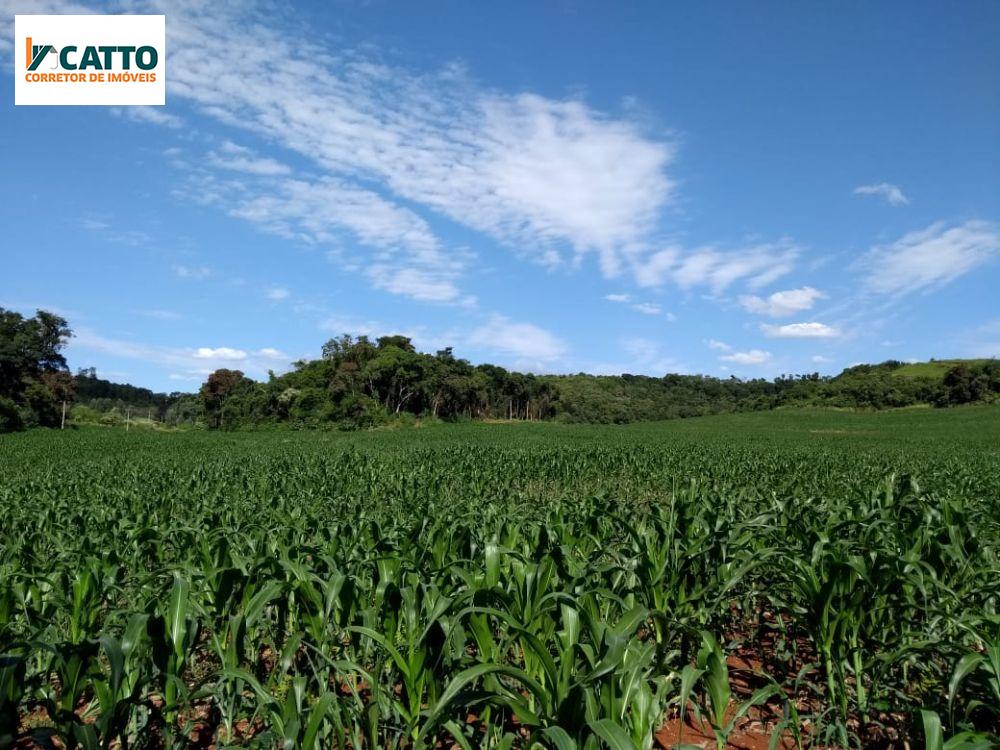 SITIO DE 3.5 ALQUEIRES COM 2.5 MECANIZADOS SEM BENFEITORIAS EM STA I.DO OESTE PR