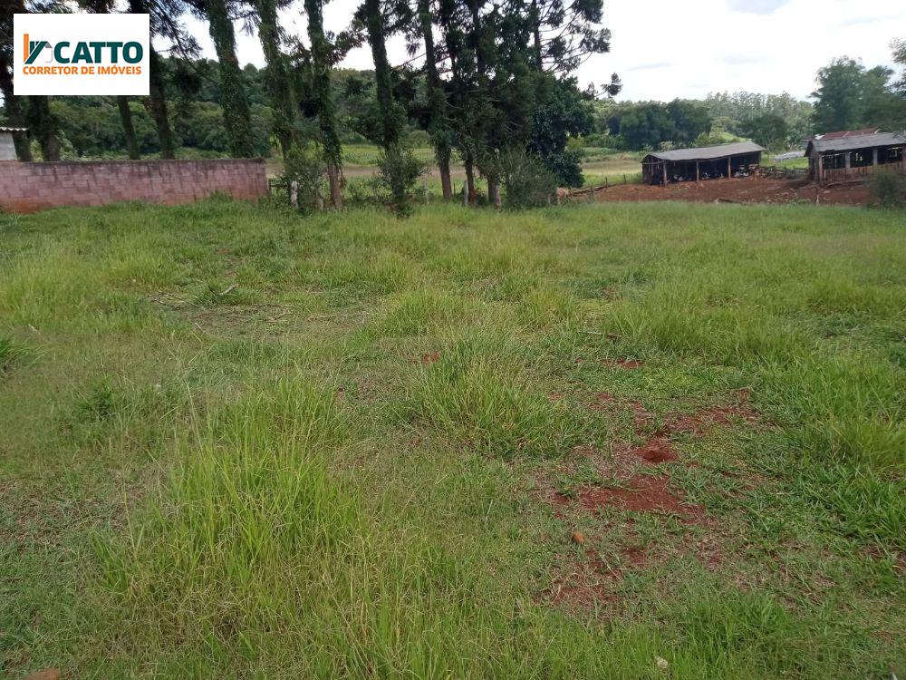 J Catto Imveis em Santa Izabel do Oeste PR