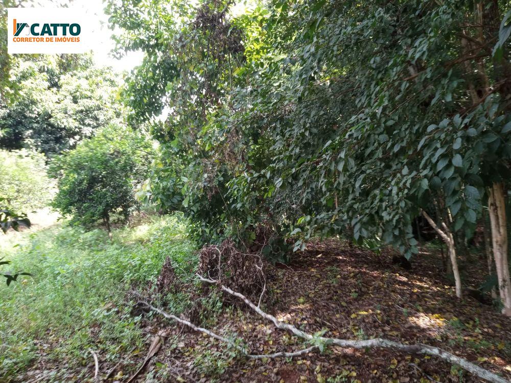J Catto Imveis em Santa Izabel do Oeste PR
