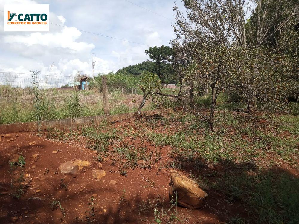 J Catto Imveis em Santa Izabel do Oeste PR