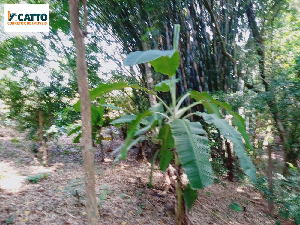 J Catto Imveis em Santa Izabel do Oeste PR