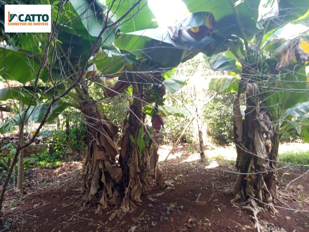 J Catto Imveis em Santa Izabel do Oeste PR
