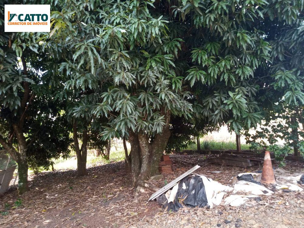 J Catto Imveis em Santa Izabel do Oeste PR