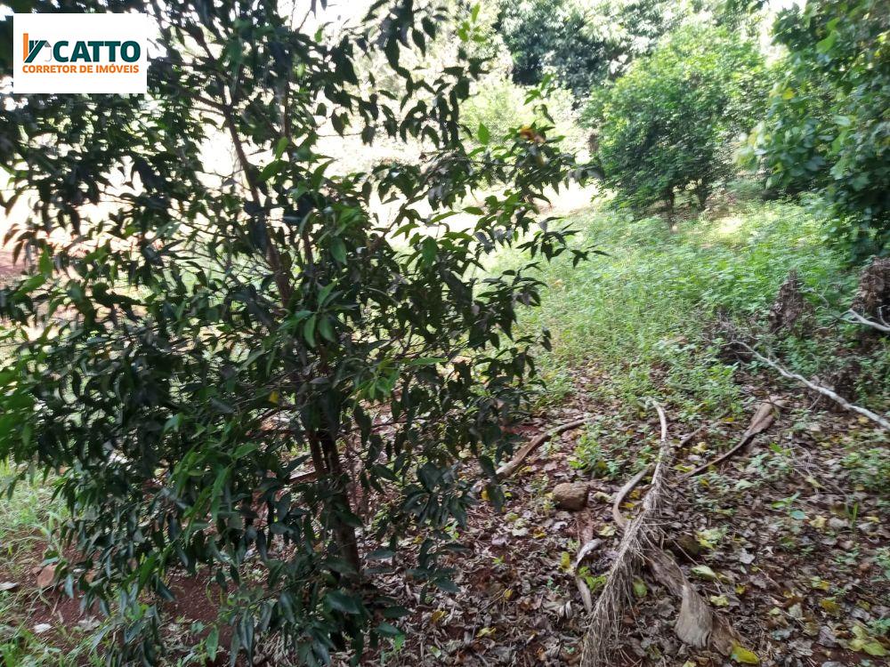 J Catto Imveis em Santa Izabel do Oeste PR