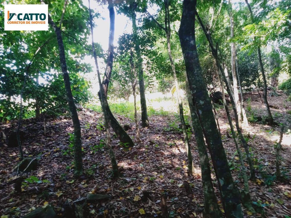 J Catto Imveis em Santa Izabel do Oeste PR
