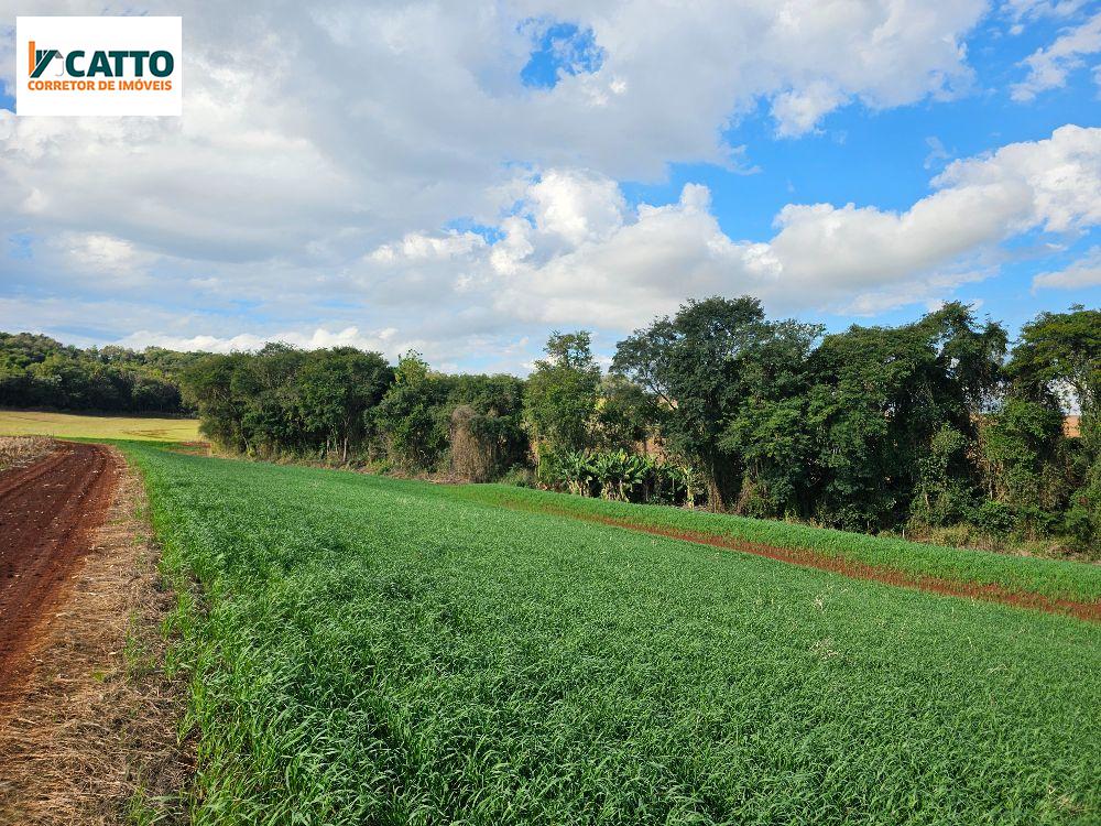 J Catto Imveis em Santa Izabel do Oeste PR