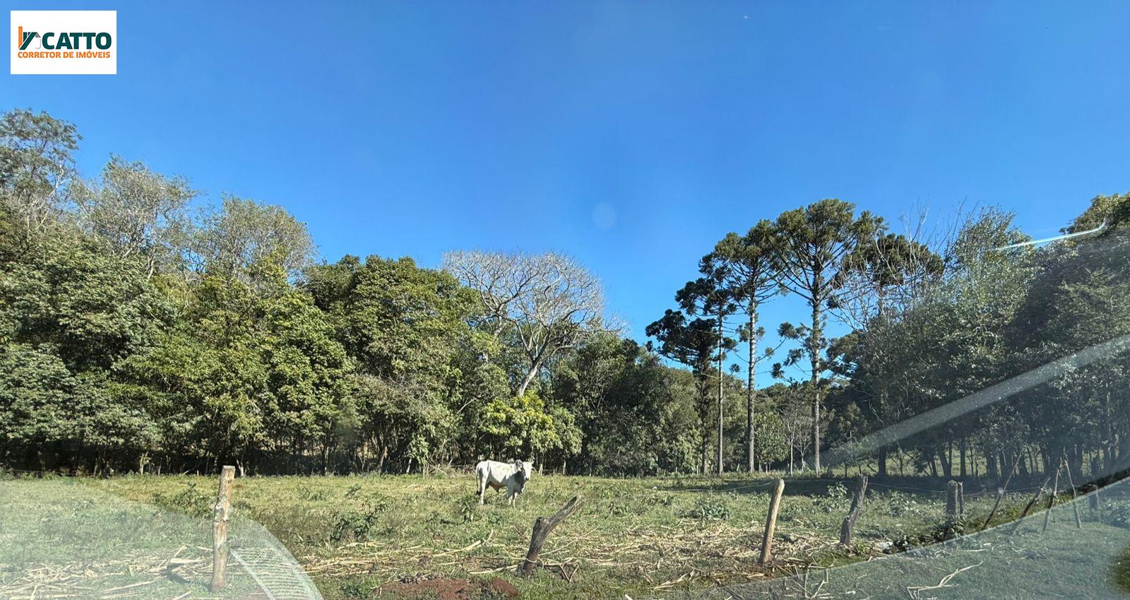 J Catto Imveis em Santa Izabel do Oeste PR