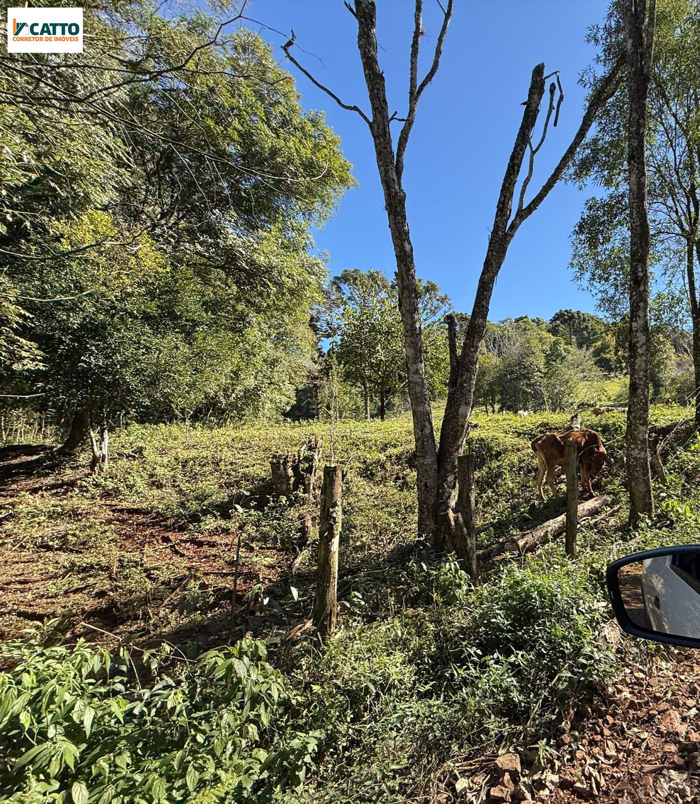J Catto Imveis em Santa Izabel do Oeste PR