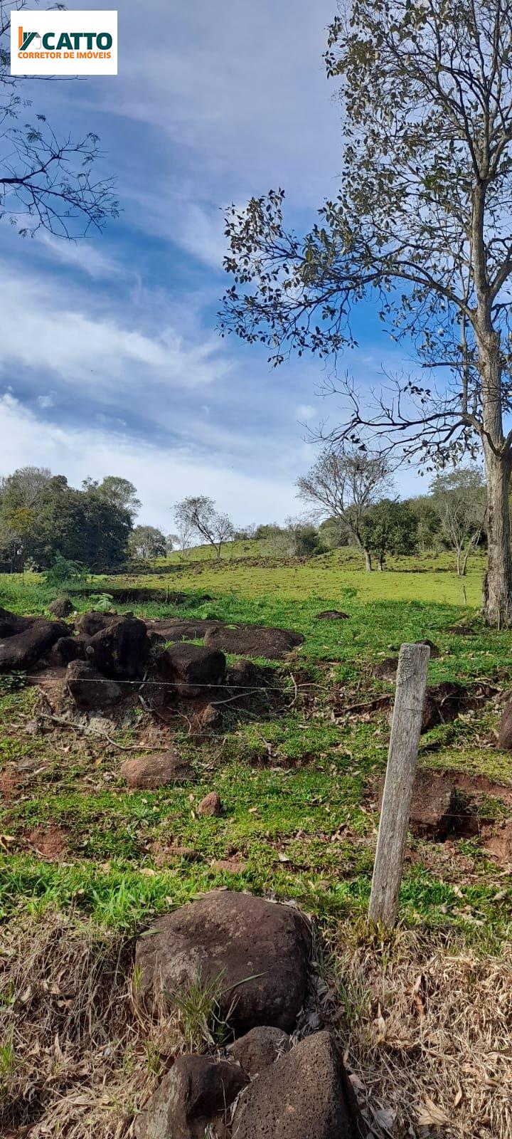 J Catto Imveis em Santa Izabel do Oeste PR