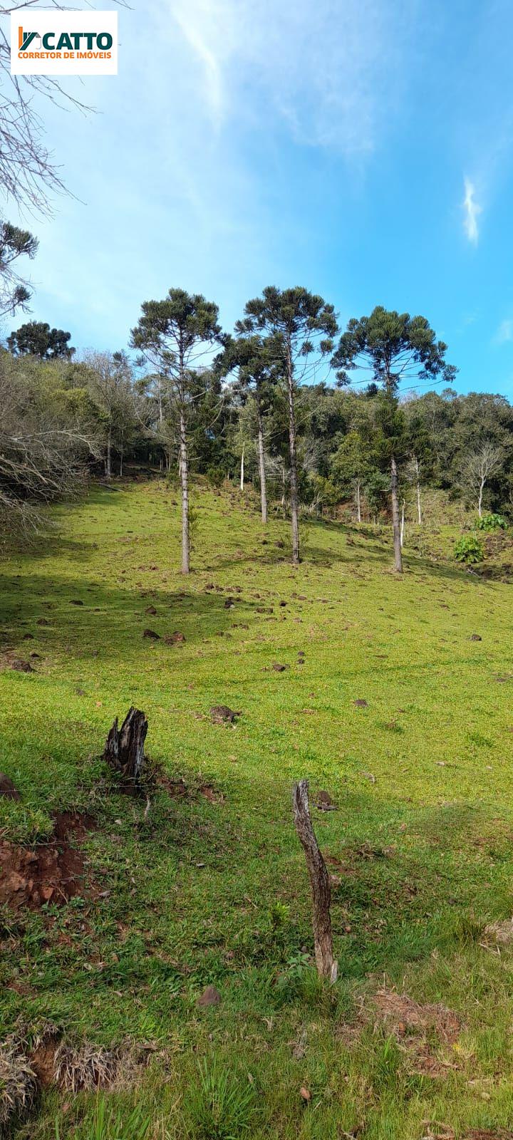 J Catto Imveis em Santa Izabel do Oeste PR