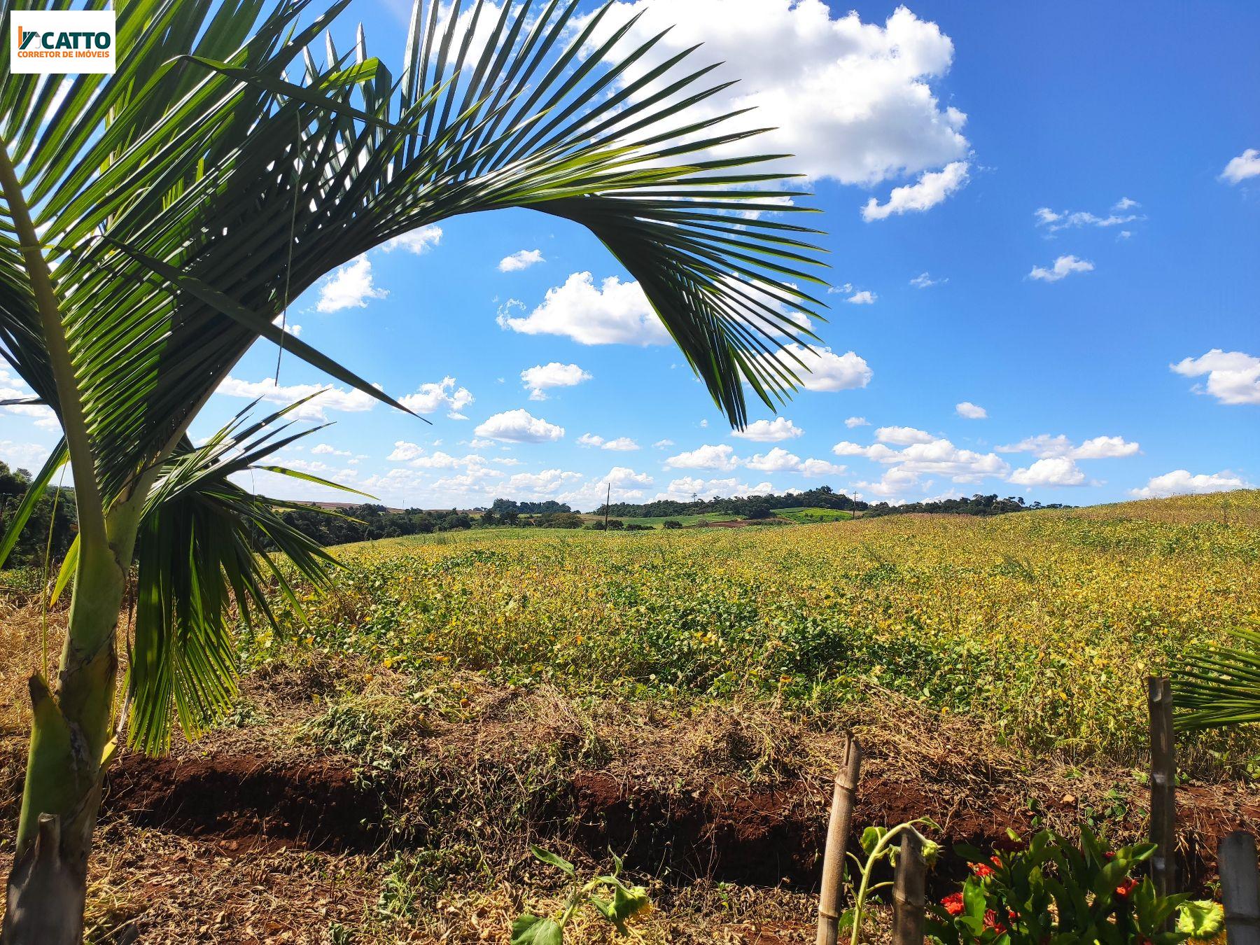 J Catto Imveis em Santa Izabel do Oeste PR