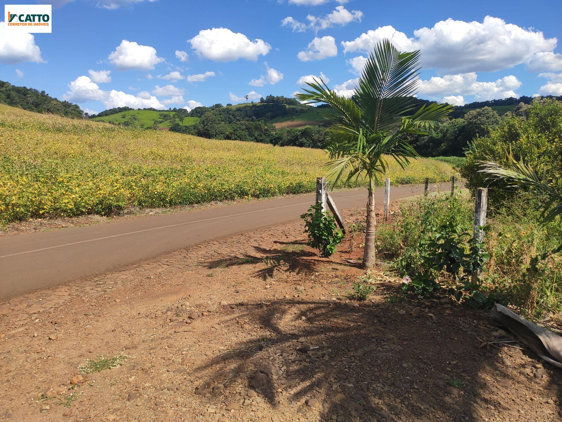 J Catto Imveis em Santa Izabel do Oeste PR