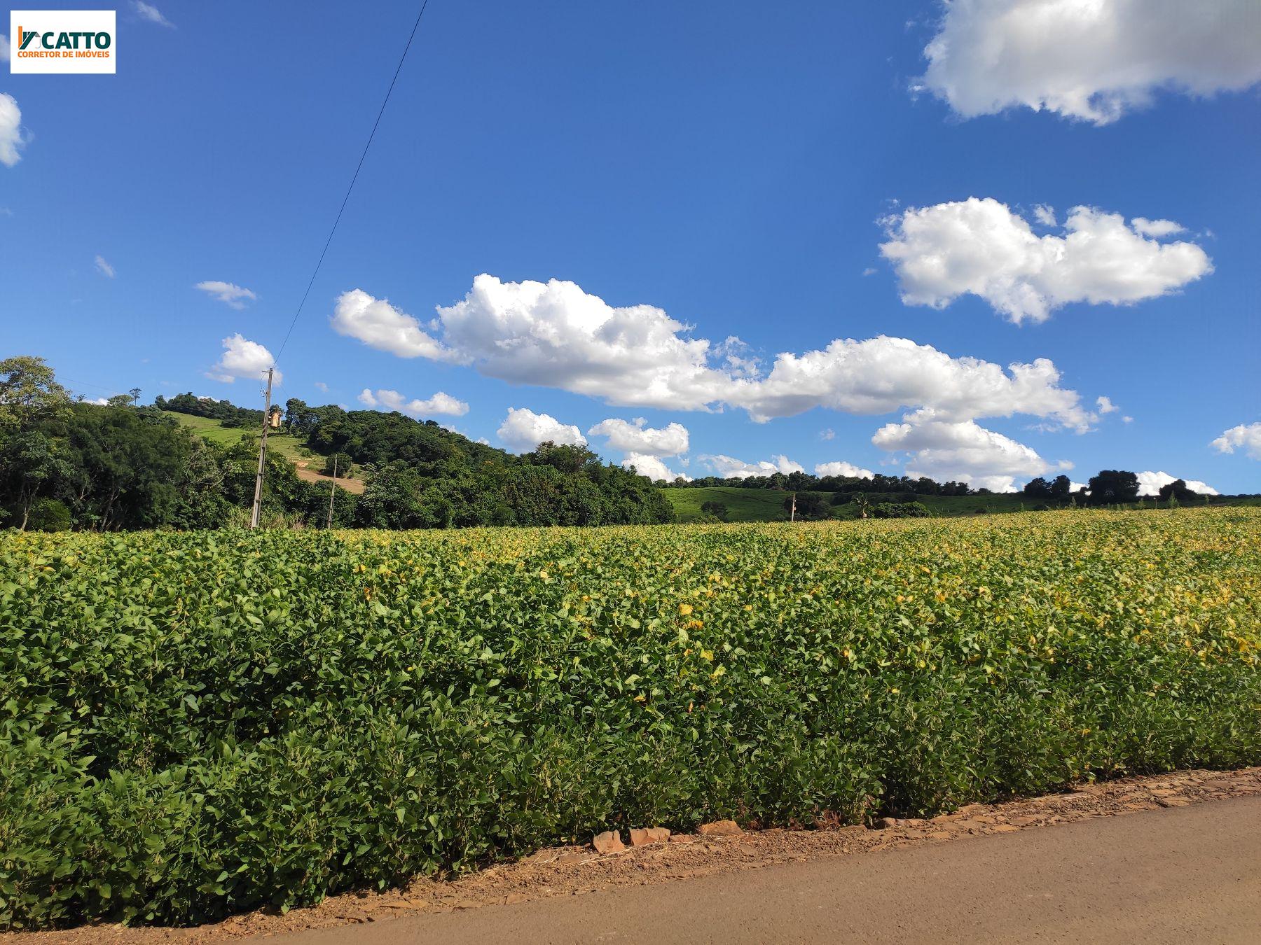 J Catto Imveis em Santa Izabel do Oeste PR