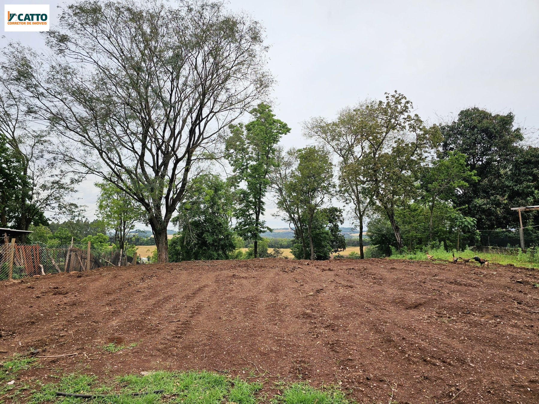 J Catto Imveis em Santa Izabel do Oeste PR