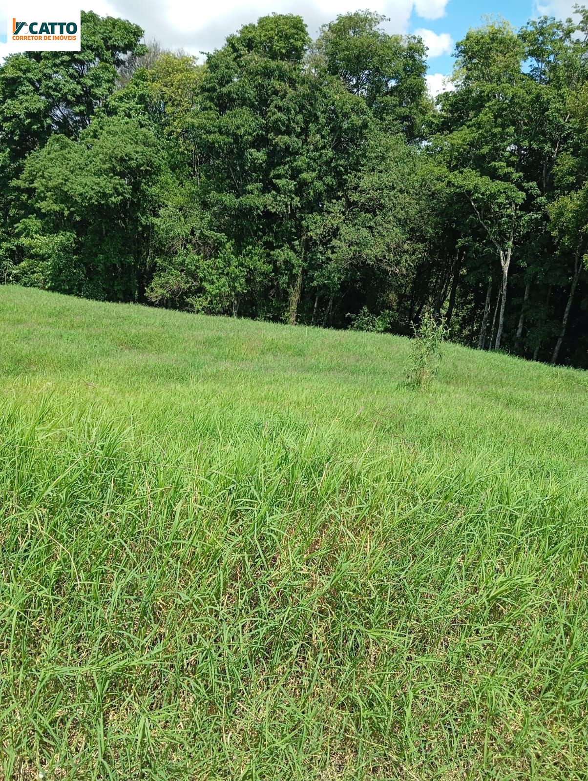 J Catto Imveis em Santa Izabel do Oeste PR