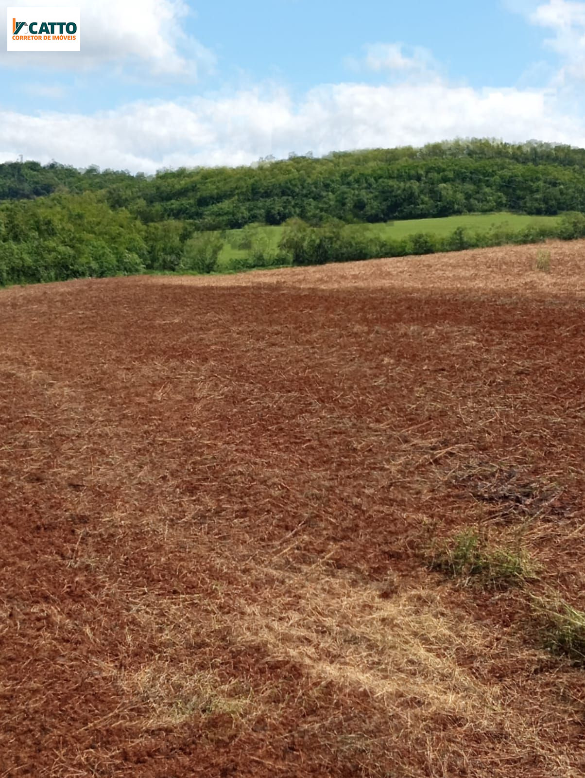 J Catto Imveis em Santa Izabel do Oeste PR
