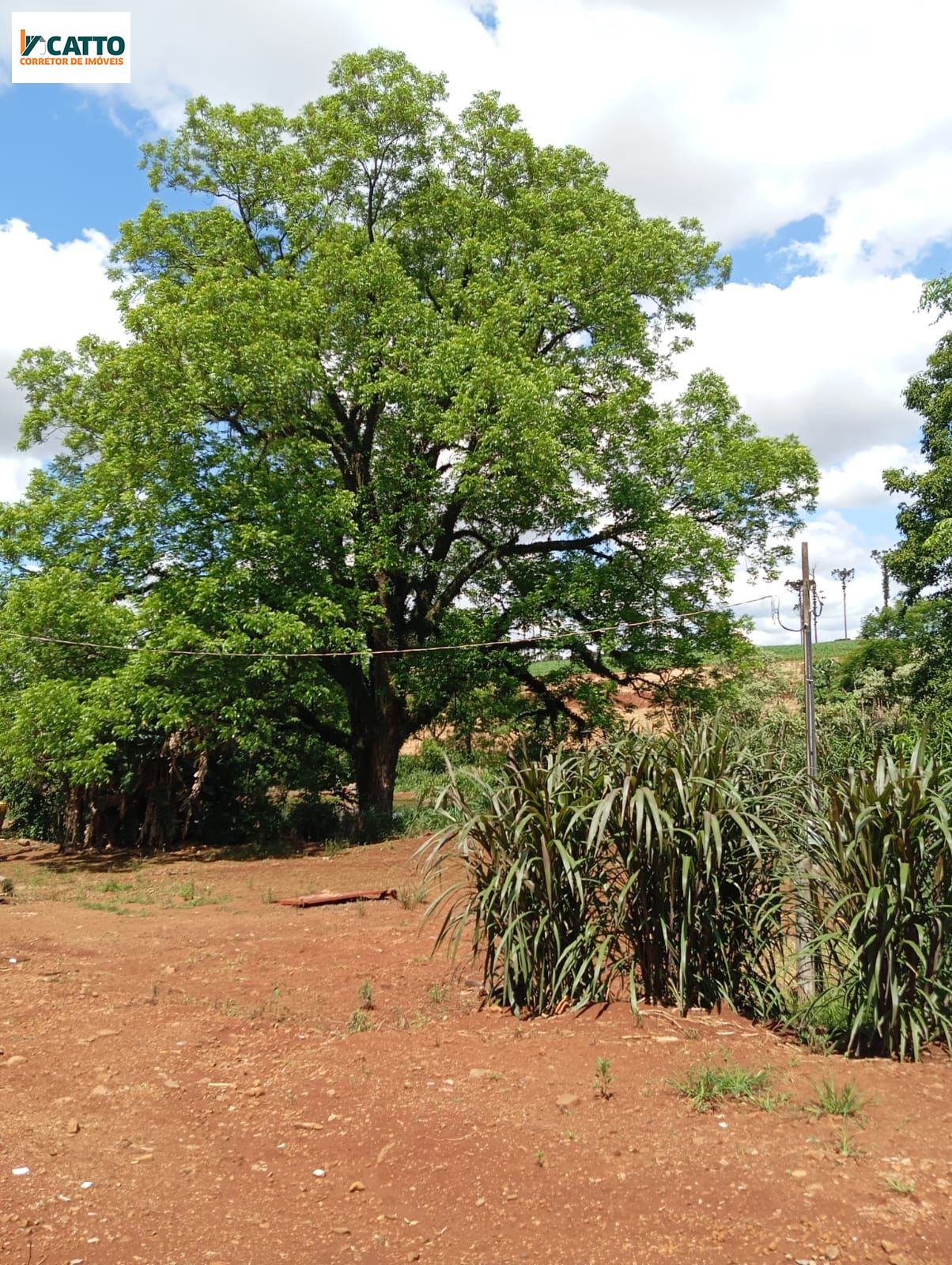 J Catto Imveis em Santa Izabel do Oeste PR