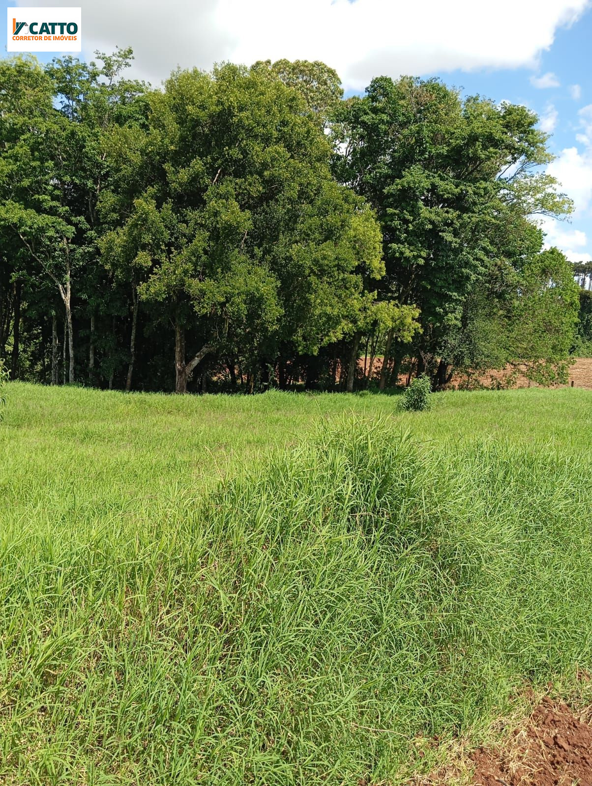 J Catto Imveis em Santa Izabel do Oeste PR