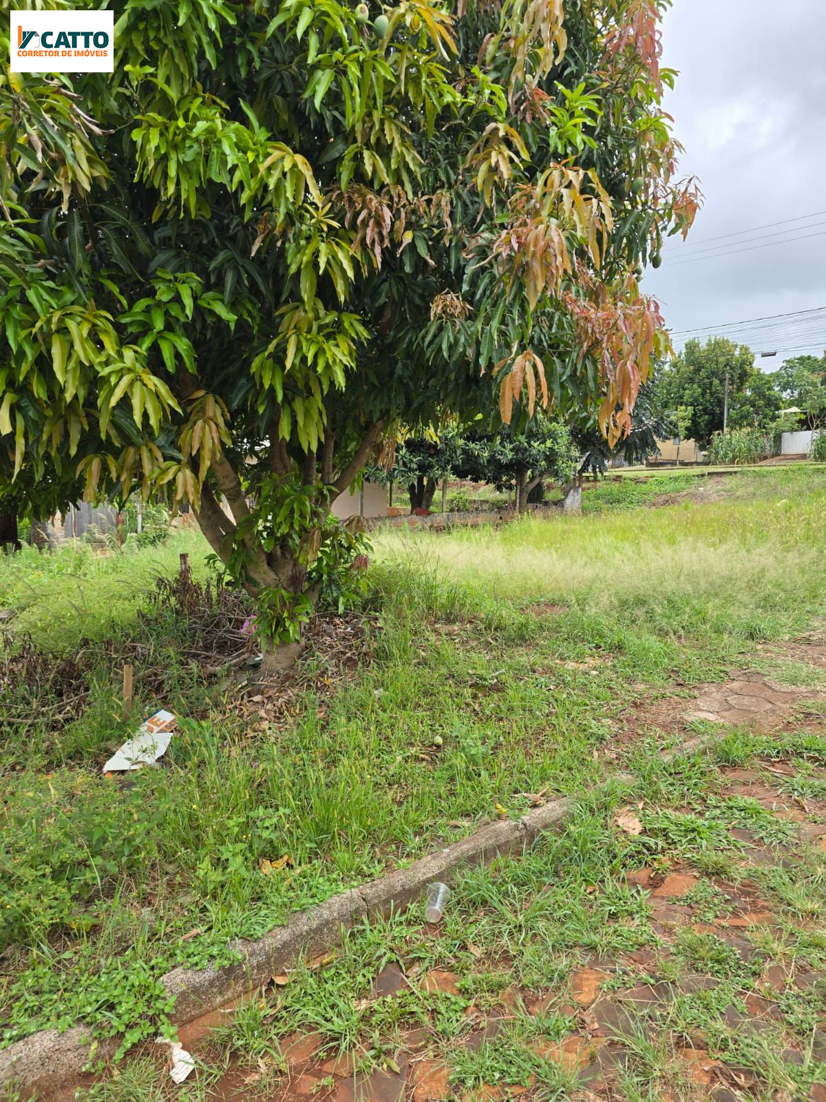 J Catto Im�veis em Santa Izabel do Oeste PR